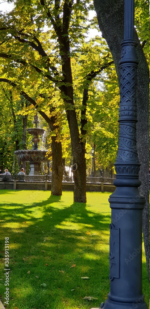 Obraz premium park in autumn