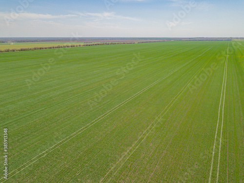 Aerial drone photo. Green meadow farmland field. © Igor Krivosheev