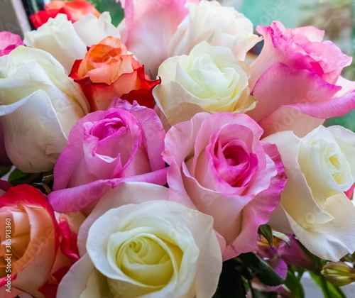 Bouquet of red  white and pink Roses close up