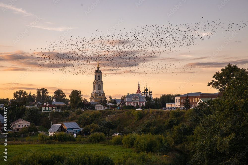 A huge flock of crows flying over the Church in the beautiful city of Suzdal.