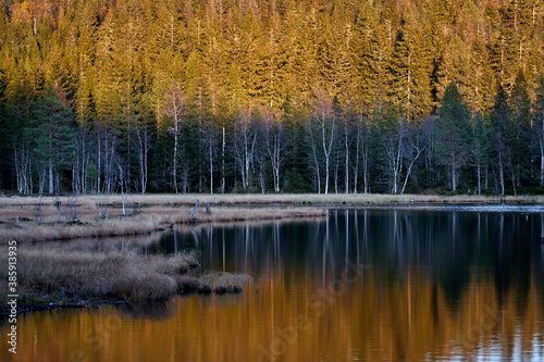 Photography Triungsvanna, Oslomarka, Norway