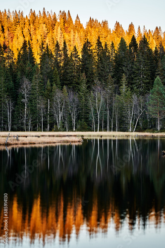 Photography Triungsvanna, Oslomarka, Norway