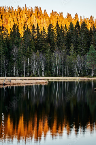 Photography Triungsvanna, Oslomarka, Norway