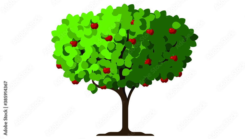 Apple tree vector illustration, red apples on the tree, organic farming