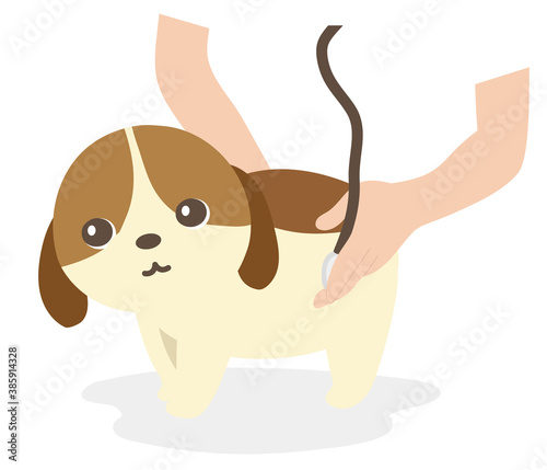 動物病院　診察を受ける犬