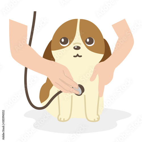 動物病院　診察を受ける犬