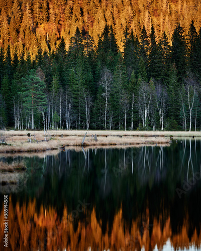 Canvas Print Triungsvanna, Oslomarka, Norway