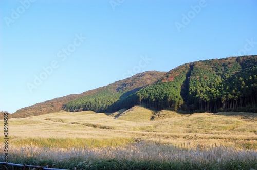 仙石原すすき草原