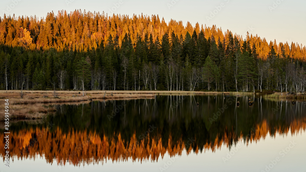 Obraz premium Triungsvanna, Oslomarka, Norway. Nature reserve. Shot in golden/blue hour in october. A crisp and cold evening in Nordmarka. This lake and forest is only a few kilometers from down town city of oslo.