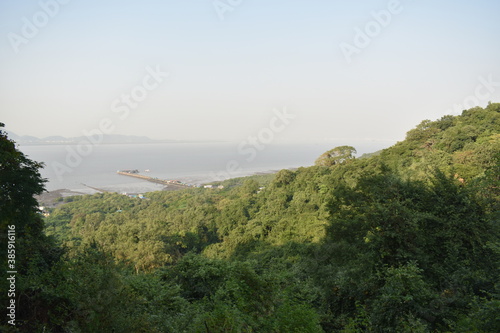 Green trees in a island captured with a ocean beside it.