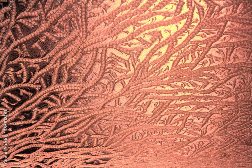 Fototapeta premium the frosty patterns on the window