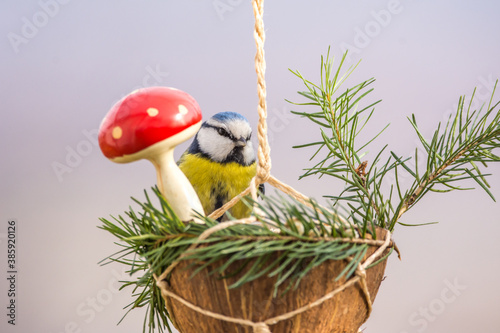Winter birds on snowy day