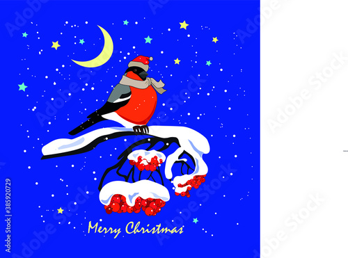 Santa Claus-bullfinch and snow.
