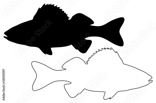 perch silhouette vector, (Perca fluviatilis), 