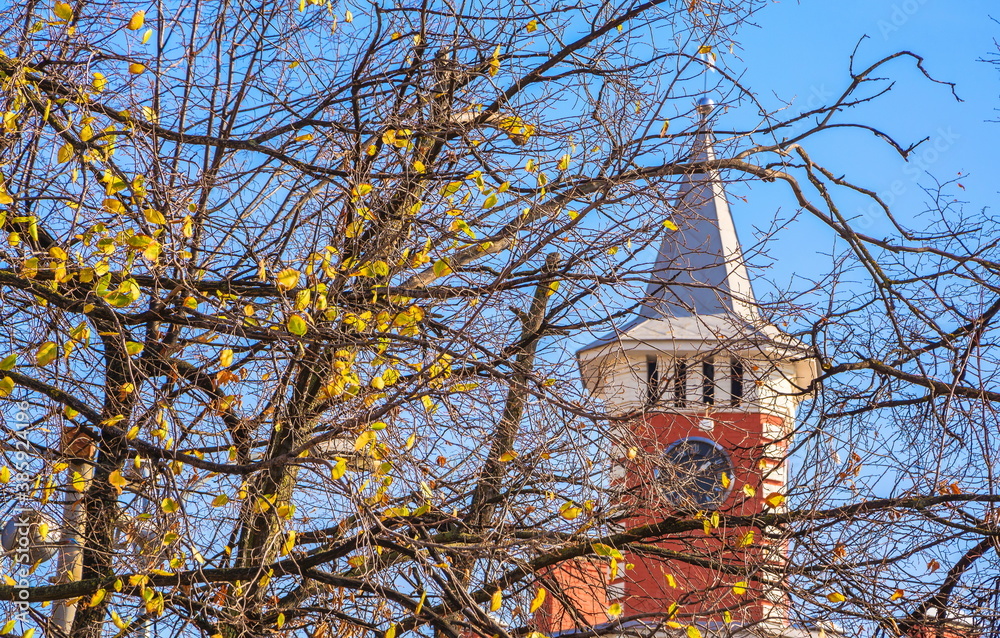 Branches of autumn trees with fallen leaves and small clock tower Branches of autumn trees with fallen leaves and small clock tower