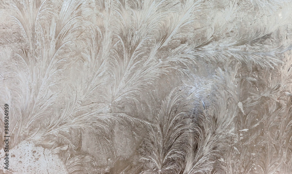 the frosty patterns on the window
