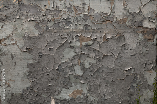 Old gray color wall painted with peeled aged paint texture