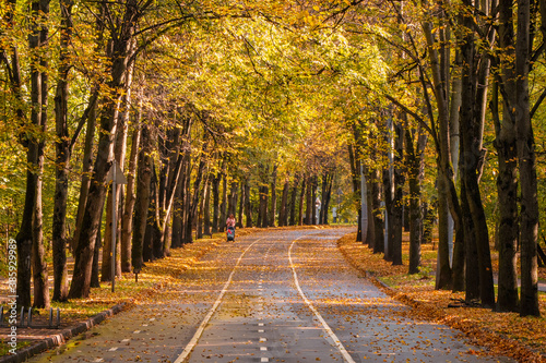 Autumn winding alley with a silhouette of a walking mother with a baby carriage.