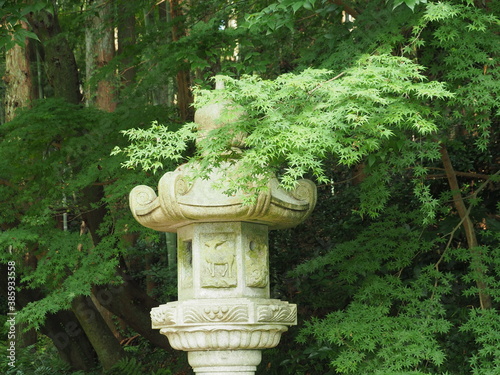 香取神宮の参道の石灯篭と楓
