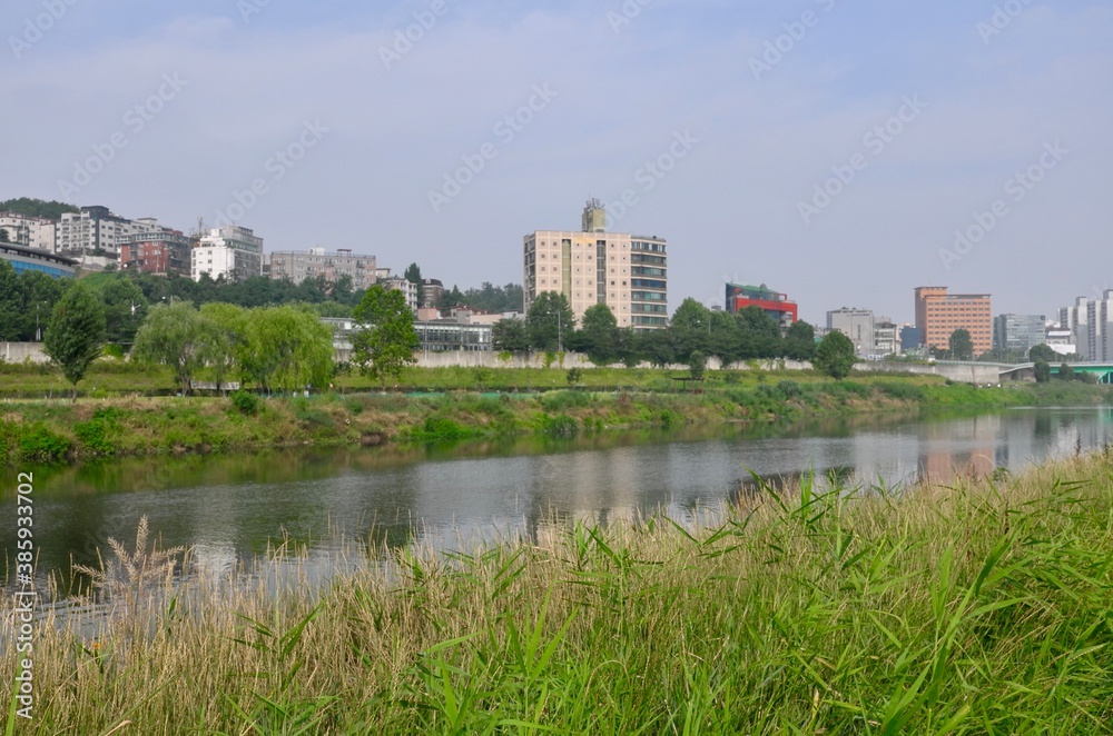 Fototapeta premium Riverside houses seen from the river.