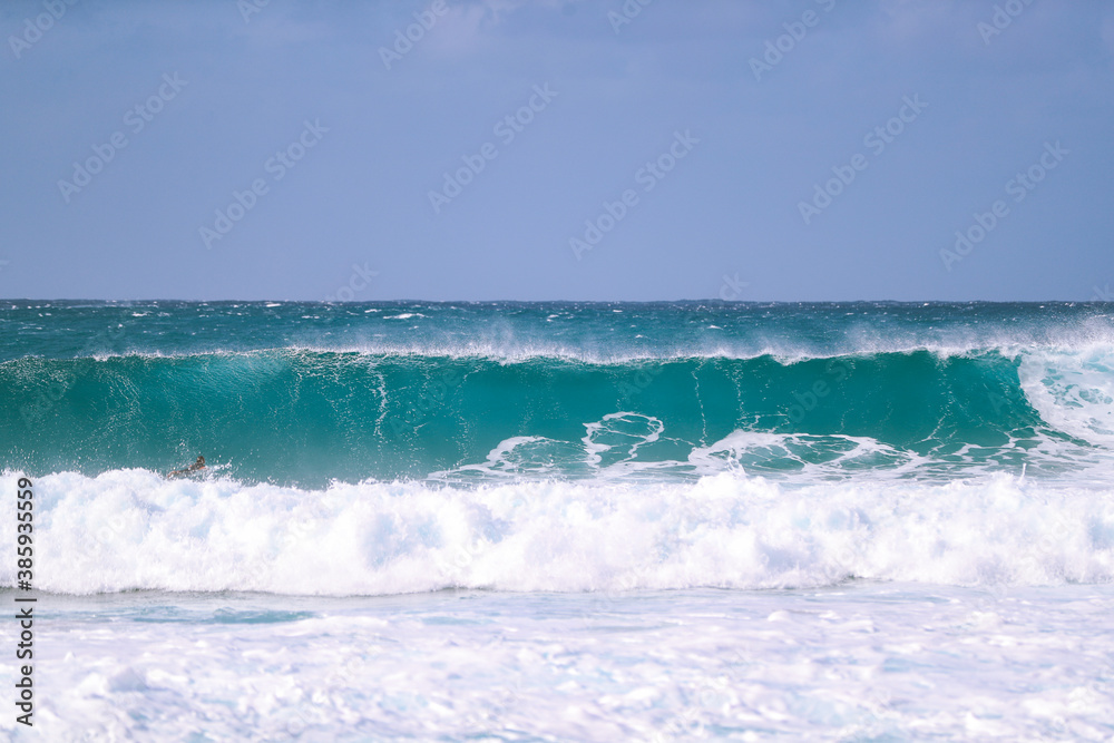Fototapeta premium Waves on the North Shore in Winter, Oahu, Hawaii