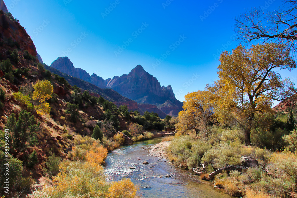 Obraz premium Autumn scene in Utah's Zion National Park.