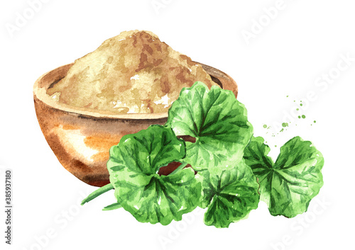 Asiatic plant gotu kola leaves and powder, centella asiatica, ayurveda herbal medicine. Watercolor hand drawn illustration, isolated on white background