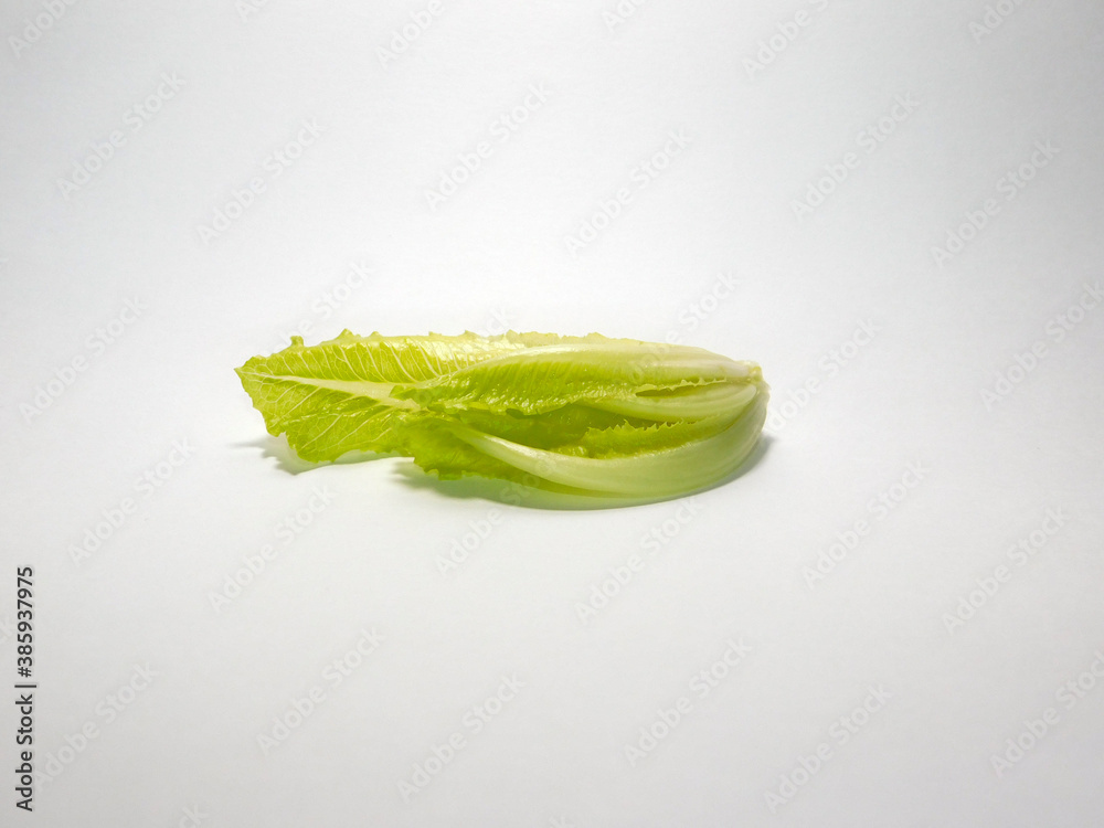 Fototapeta premium Lettuce