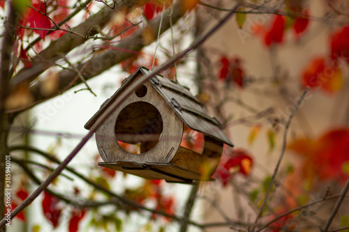 Wooden old bird feeder on the background of branches with loose leaves