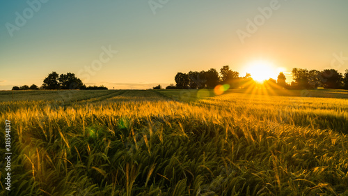 Obraz na płótnie Germany, Stuttgart, Magical orange sunset sky above ripe grain field nature landscape in summer w salonie