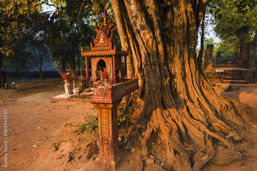 Tín ngưỡng thờ cây