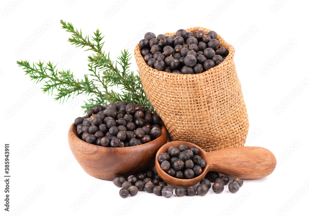 Dry juniper berries with in small burlap sack, isolated on white background. Common Juniper fruits in wooden bowl and spoon. Dry juniper berries with in small burlap sack, isolated on white background. Common Juniper fruits in wooden bowl and spoon.
