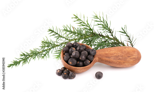 Dry juniper berries with a green branch, isolated on white background. Common Juniper fruits in wooden spoon.