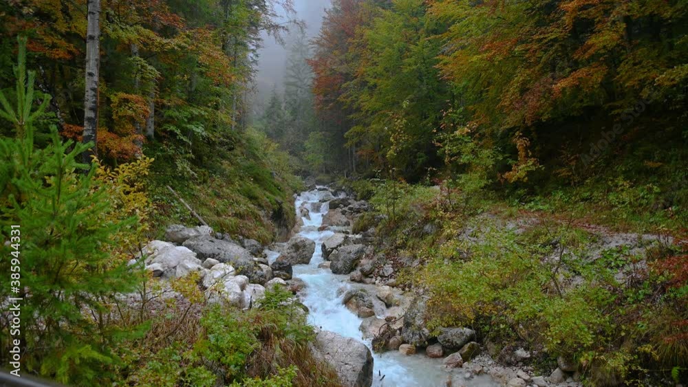 Small Alpine stream flows in clean pristine nature in Slovenia. Small creek surrounded with colorful autumn trees on rainy day. Wide angle, static shot, real time Small Alpine stream flows in clean pristine nature in Slovenia. Small creek surrounded with colorful autumn trees on rainy day. Wide angle, static shot, real time