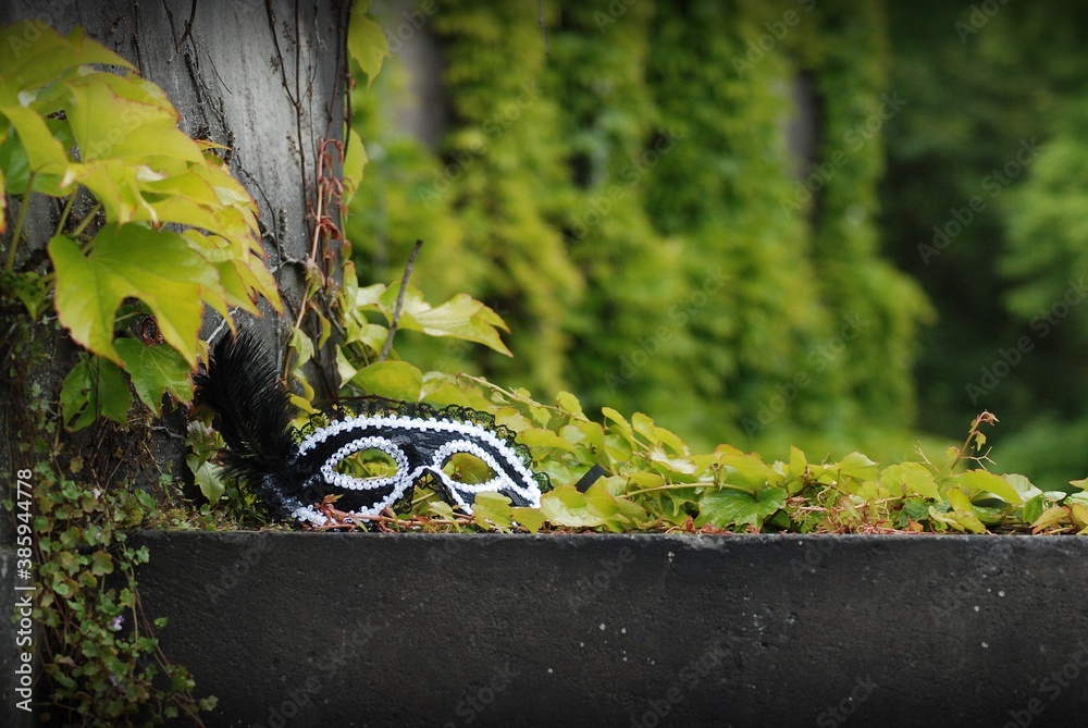 damska maska karnawałowa na schodach wśród drzew, trawy, bluszczu i winorośli - obrazy, fototapety, plakaty 