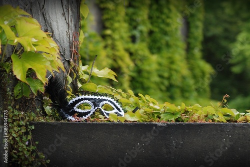 damska maska karnawałowa na schodach wśród drzew, trawy, bluszczu i winorośli