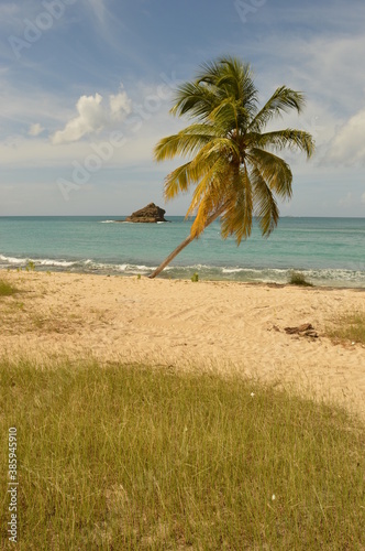 Fototapeta Naklejka Na Ścianę i Meble -  The islands and beaches of the Caribbean paradise on Antigua and Barbuda