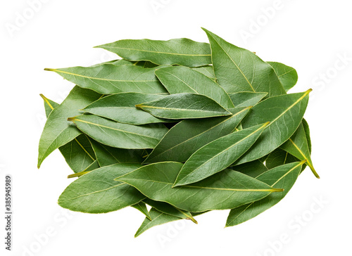 Fresh bay leaves isolated on white background