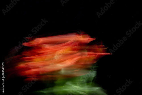 red flowers in motion blur against black background, natural sunlight and long exposure
