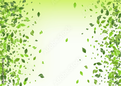 Lime Foliage Fresh Green Background Poster. Swirl 