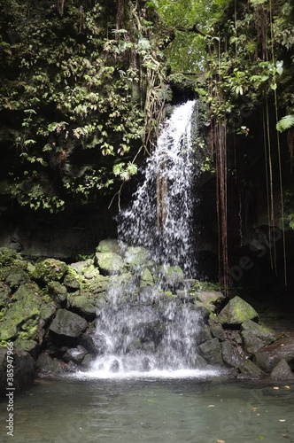 fallwater Dominica