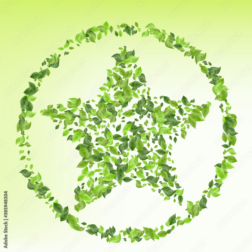 Forest Greenery Abstract Green Background Plant. Forest Greenery Abstract Green Background Plant.
