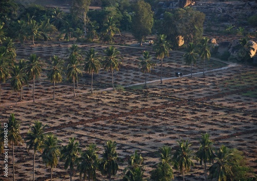 Reisfelder Hampi Indien