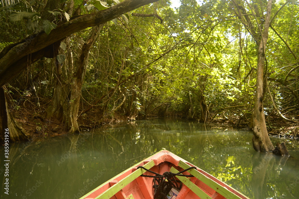 Fototapeta premium The stunning island of Dominica in the Caribbean