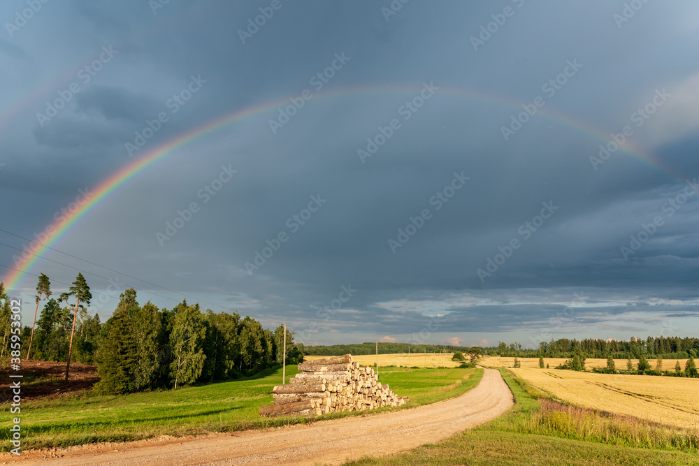 Fototapeta premium Rainbow over the road, forest and fields