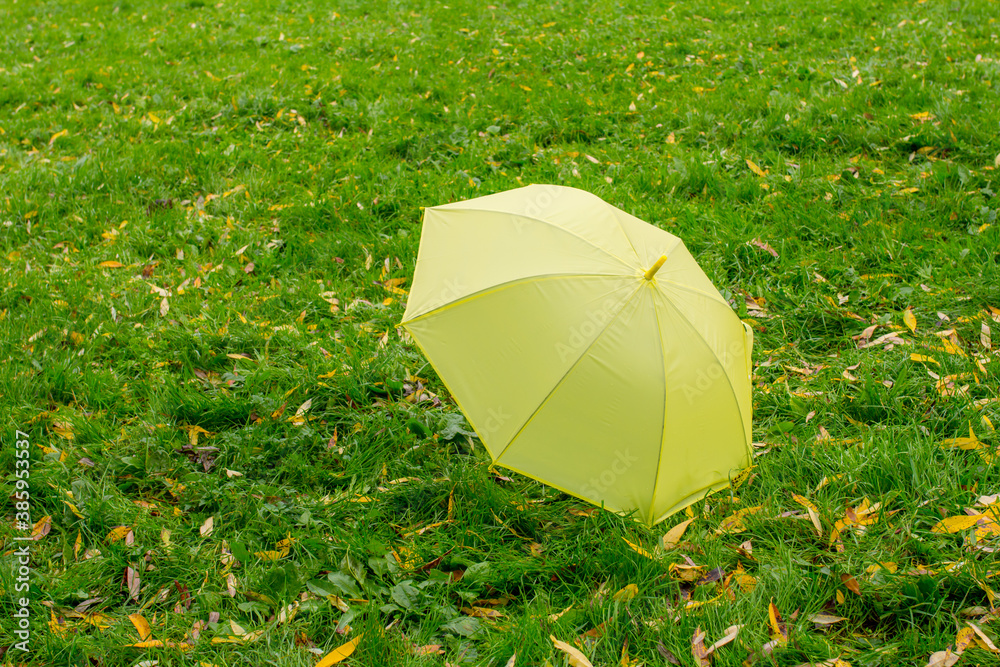 umbrella on the grass