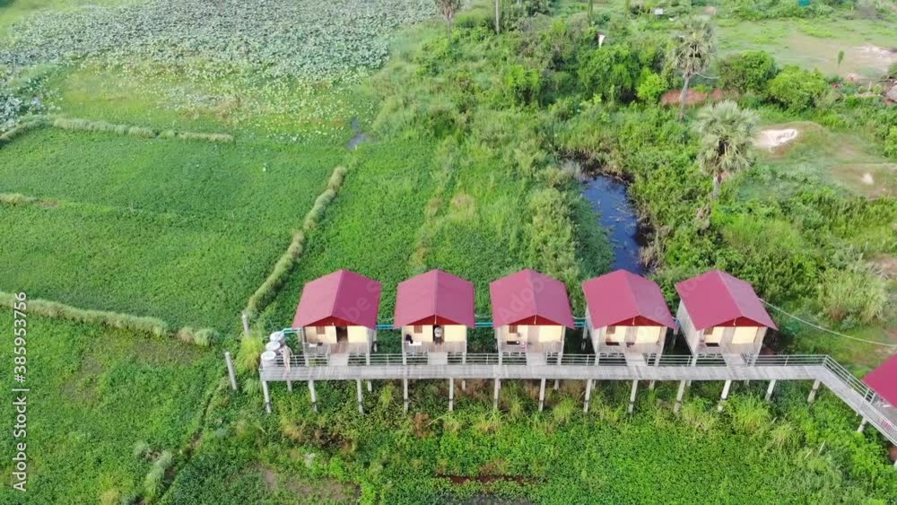 Cambogia veduta aerea di risaie e case
