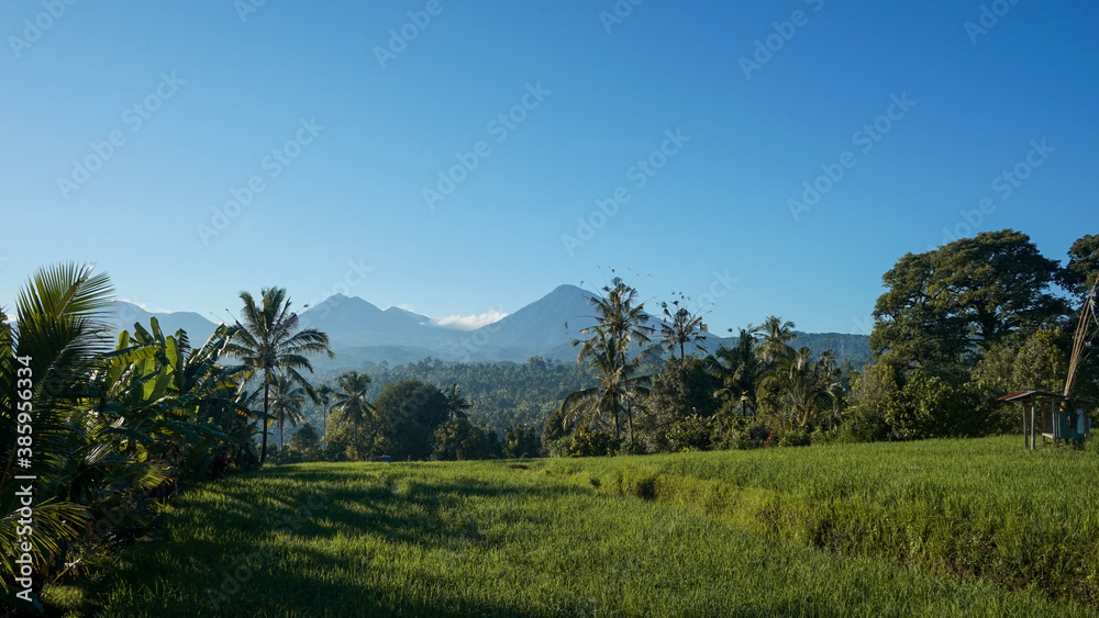 Obraz premium landscape with trees and clouds