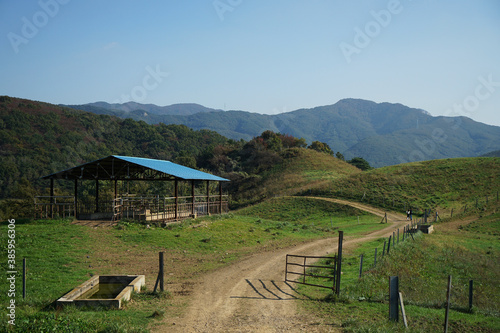 Livestock house in Korea on October 17, 2020