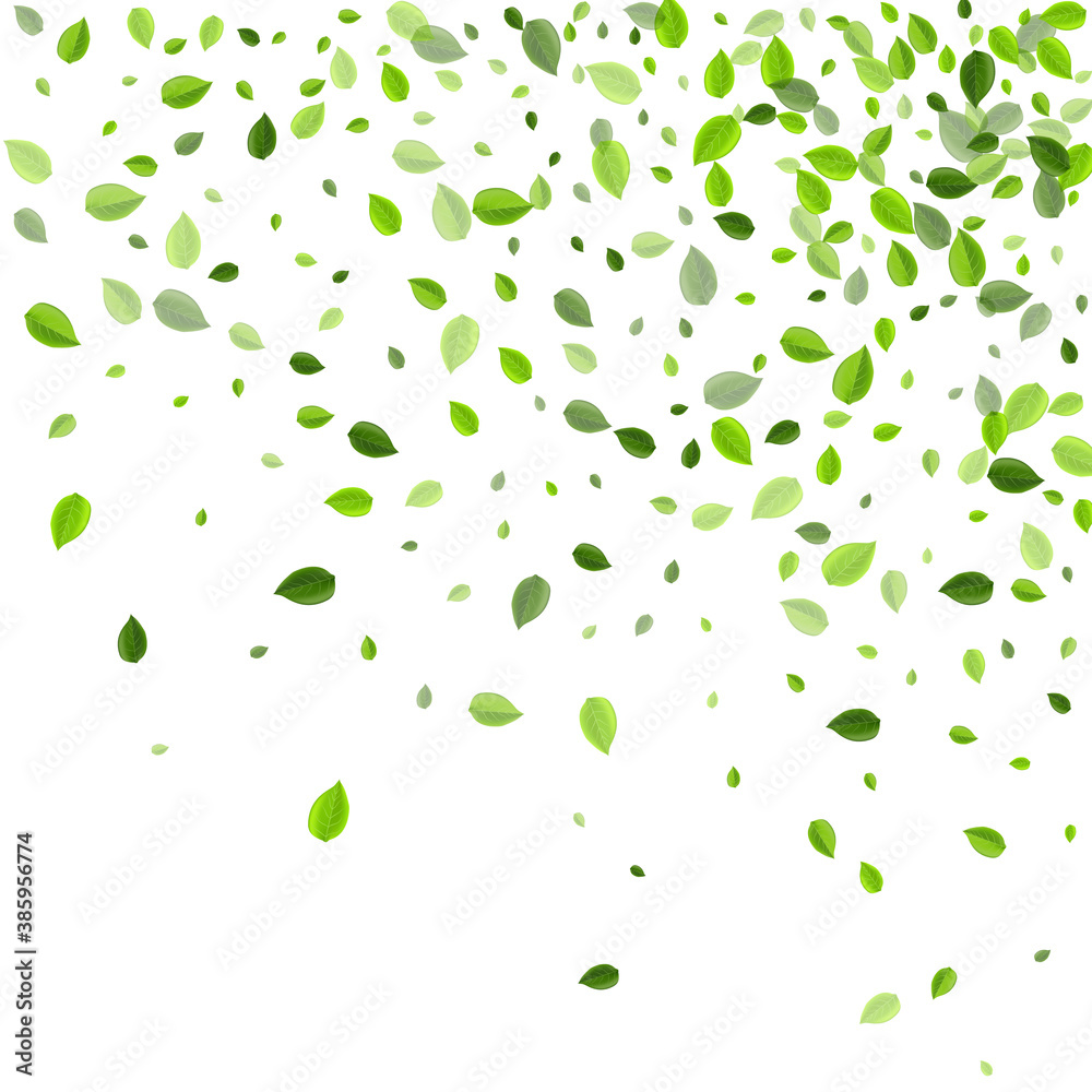 Forest Foliage Realistic Vector Plant. Organic Forest Foliage Realistic Vector Plant. Organic